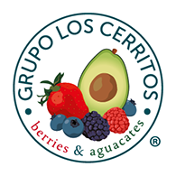 Grupo Los Cerritos